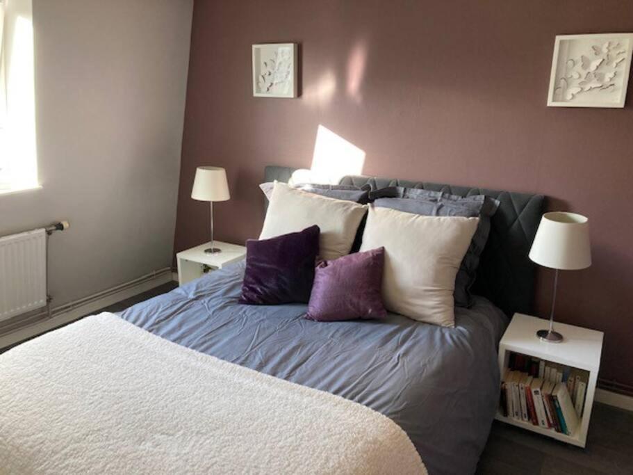 Agreable Et Spacieuse Maison Centre Ville Saint-Omer Εξωτερικό φωτογραφία